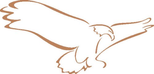 PEMA INDIGOS UG - Wandtattoo Wandsticker Wandaufkleber Aufkleber D362 Fliegender Adler Vogel 120x57 cm - Hellbraun