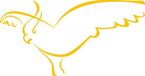 PEMA INDIGOS UG - Wandtattoo Wandsticker Wandaufkleber Aufkleber D355 Fliegender Adler Vogel 120x63 cm - Gold