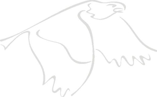 PEMA INDIGOS UG - Wandtattoo Wandsticker Wandaufkleber Aufkleber D359 fliegenden Adler 40x24 cm - Silber