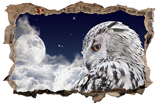 DesFoli Eule Schneeeule Mond Nachthimmel Wandtattoo Wandsticker Wandaufkleber D2630 Größe 40 cm x 60 cm