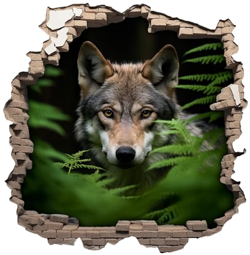 Samunshi® Wandtattoo Wandriss mit Wolf Fenster in andere Welt Wanddekoration Wandsticker für Wohnzimmer Küche Wandaufkleber Wanddeko 30x30cm