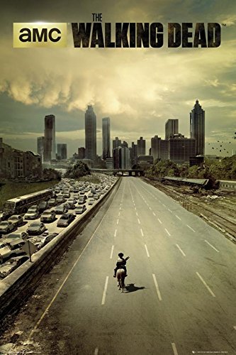 The Walking Dead Poster - Dead City aus Staffel 1 + 2 St. Schwarze Posterleisten mit Aufhängung