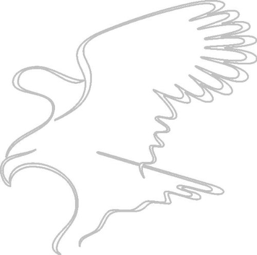 PEMA INDIGOS UG - Wandtattoo Wandsticker Wandaufkleber Aufkleber D387 Adler stürzen 40x39 cm weiß - Wandaufkleber Aufkleber