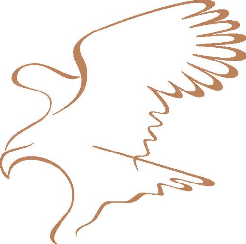 PEMA INDIGOS UG - Wandtattoo Wandsticker Wandaufkleber Aufkleber D387 Adler stürzen 40x39 cm - Hellbraun