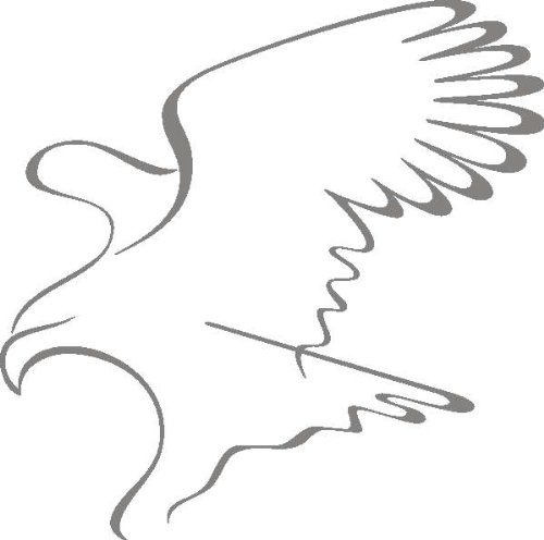 PEMA INDIGOS UG - Wandtattoo Wandsticker Wandaufkleber Aufkleber D387 Adler stürzen 40x39 cm - glasdekor