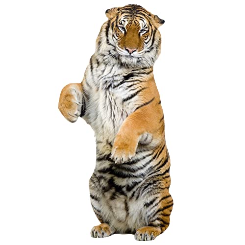 GRAZDesign Wandtattoo Tiger sitzend | Wandaufkleber Afrika | Wandsticker Deko Aufkleber 3d - 82x40cm