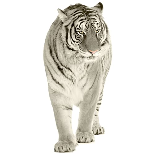 GRAZDesign Wandtattoo Tiger laufend | Wandaufkleber Afrika | Wandsticker Deko Aufkleber 3d - 109x50cm