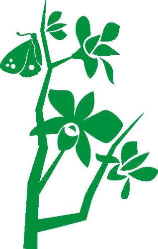 PEMA INDIGOS UG - Wandtattoo Wandsticker Wandaufkleber Aufkleber D416 Orchideen und Schmetterlingen 96x60 cm - grün