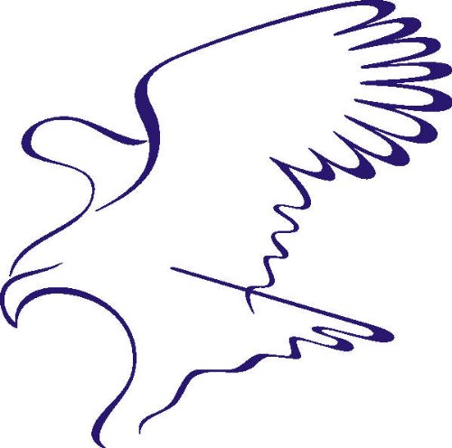 PEMA INDIGOS UG - Wandtattoo Wandsticker Wandaufkleber Aufkleber D387 Adler stürzen 80x79 cm - blau