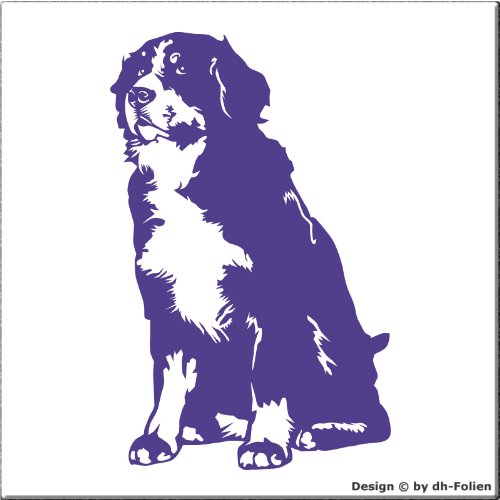 wall-refine WH-00035 | Berner Sennenhund SITZEND | Premium Wandtattoo Wandaufkleber der Extra-Klasse, 45 x 70 cm, violett, seidenmatter Glanz