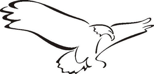 PEMA INDIGOS UG - Wandtattoo Wandsticker Wandaufkleber Aufkleber D362 Fliegender Adler Vogel 160x77 cm - schwarz