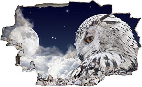 DesFoli Eule Schneeeule Mond Nachthimmel Wandtattoo Wandsticker Wandaufkleber C2630 Größe 40 cm x 60 cm