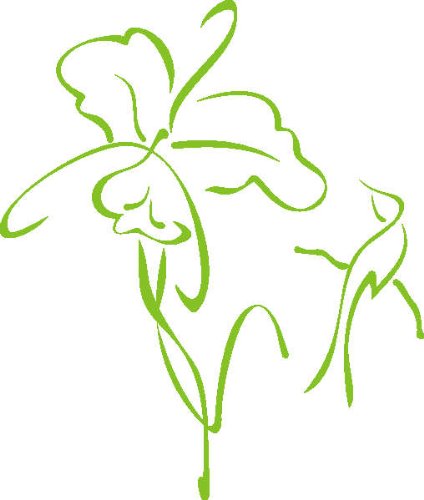 PEMA INDIGOS UG - Wandtattoo Wandsticker Wandaufkleber Aufkleber D358 Kolibris und Orchideen 120x101 cm - gelbgrün