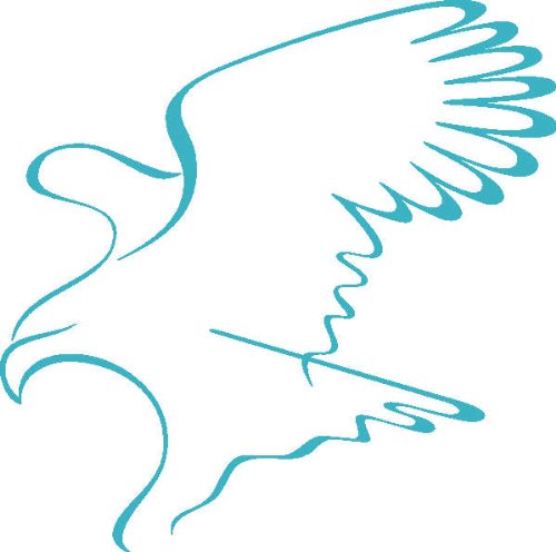 PEMA INDIGOS UG - Wandtattoo Wandsticker Wandaufkleber Aufkleber D387 Adler stürzen 40x39 cm - türkis