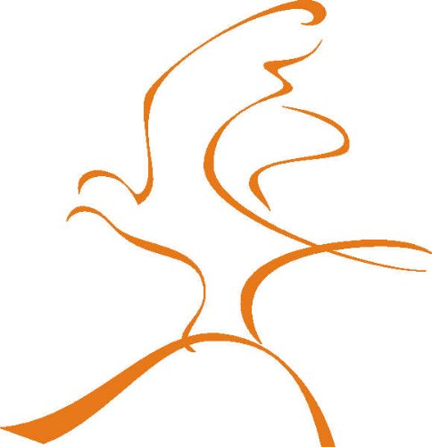 PEMA INDIGOS UG - Wandtattoo Wandsticker Wandaufkleber Aufkleber D374 Adler saß auf einem Zweig 40x38 cm - orange