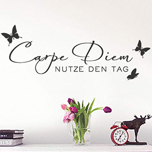 Grandora W723 Wandtattoo Spruch Carpe Diem + Schmetterlinge Wohnzimmer Flur Schlafzimmer braun 140 x 50 cm