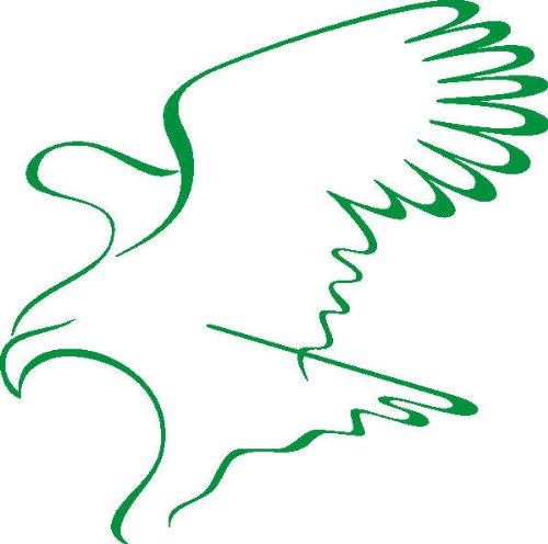 PEMA INDIGOS UG - Wandtattoo Wandsticker Wandaufkleber Aufkleber D387 Adler stürzen 80x79 cm - Grun