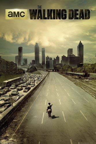 Tainsi The Walking Dead – Dead City Poster, 11 x 17 Zoll, 28 x 43 cm