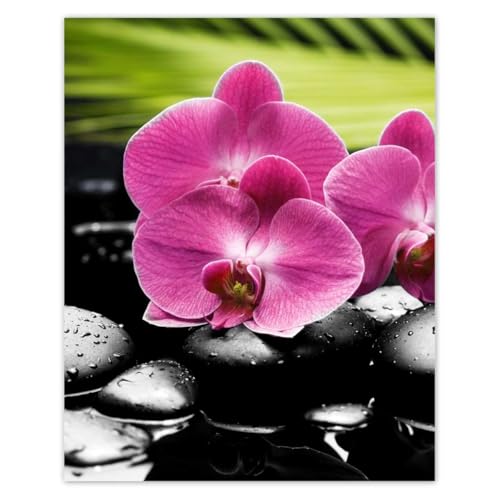 Wandtattoo, Deko-Fotoaufkleber, 40 x 50 cm, Spa-Steine und Oleander, Nr. H1068M_NS1Q