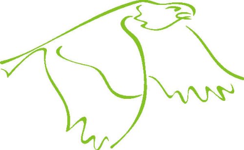 PEMA INDIGOS UG - Wandtattoo Wandsticker Wandaufkleber Aufkleber D359 Fliegender Adler Vogel 120x74 cm - gelbgrün